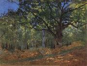 Claude Monet The Bodmer Oak,Forest of Fontainebleau oil painting on canvas